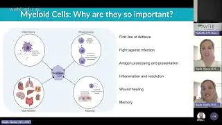 Rajab N (2023): The Wonderful World of Myeloid Biology: Words from a Macrophage Addict