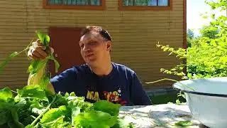 Бульденеж в деревне Межадор. Заехали к Николаю Ивановичу за щавелем.