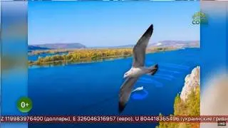 2018 11 10 «Путь паломника» Самара