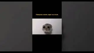 ИИ расширяет мемы 