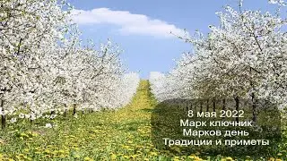 8 мая 2022 Апостол Марк. Марк ключник. Приметы.