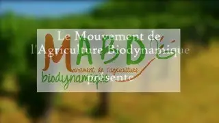 De l’individualité vers l’organisme agricole, appui sur des résultats de recherches en biodynamie