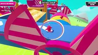 Fall Guys PS4 PRO Gameplay