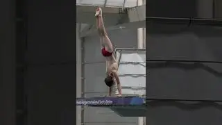 Diving competition season is here!! Group D
