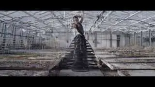 Diary of Dreams - StummKult