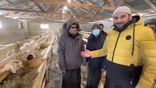 Me at a farm near Toronto