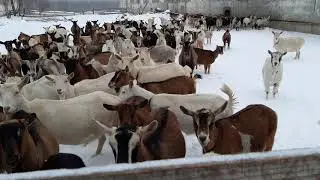 С Новым 2020 годом!