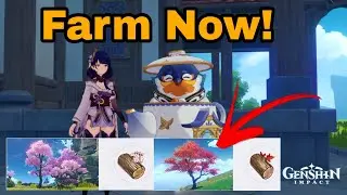 Wood Farming Guide (Inazuma Wood) - Serenitea Pot