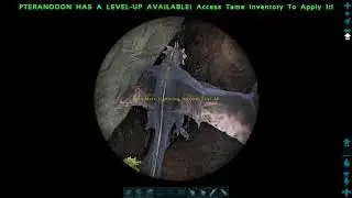 stuckWyvern