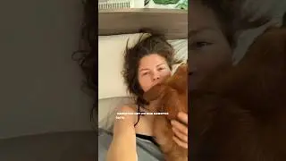Быть одинокой — ок? Больше меня в тг:@elmonako🦥#vlog#влог#шортс#отношения#shorts#собака#одиночество