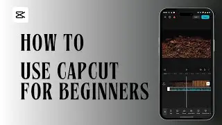 How to Use CapCut for Beginners | CapCut Tutorial