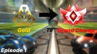 THE BEGINNING - GOLD TO GRAND CHAMP