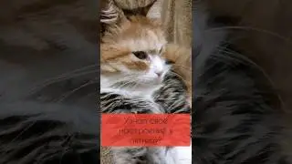 Настроение в пятницу у всех такое бывает? #цитаты