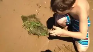 VLOG- lake :)