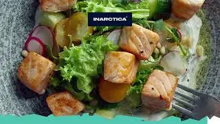 Салат с лососем INARCTICA