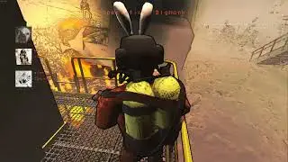 LETHAL SHRUMPANY 2