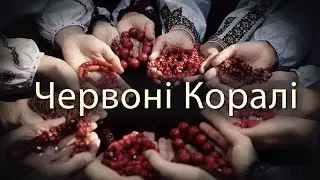 Знайомтесь: 