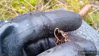 УРА! ЗОЛОТО! ПРЯГА ВЕРМАХТА, ЛАДАНКА! ВОТ ЭТО Я ПОНИМАЮ ХОРОШИЙ ДЕНЬ.