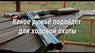What gun are suitable for sea hunting