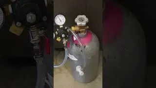 Nitro beer at home: it's easier than you think! 