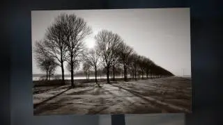 Dutch Sky - Flevopolder 2.0