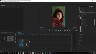Adobe Premier Pro: Sequence Setting (changing frame size)