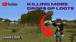 Killing Mobs Drops OP Loots |Minecraft !!!