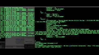 start mongo db and import