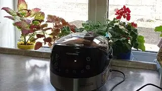 ВОСКРЕСНЫЙ день/ А я БЕЗДЕЛЬНИЧАЮ 💐