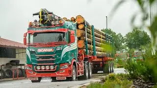 SCANIA R730 V8 NEXTGEN 🚚💨🌲 GRUMIER FRIEDERICH (TRANSPORTS VINCENT SIMON)