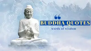 Buddha Quotes to Enlighten Your Mind and Soul | Words Of Wisdom