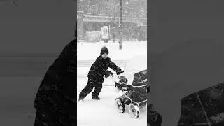 Funny Street Photography Moment in a Snow Storm