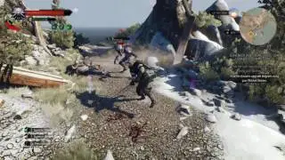 The Witcher 3: Wild Hunt - NG++ LEVEL 56 FOGLETS?!