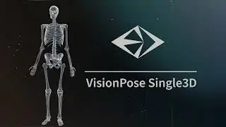 VisionPose Single3D: Simple Markerless Motion Capture with a Single Camera