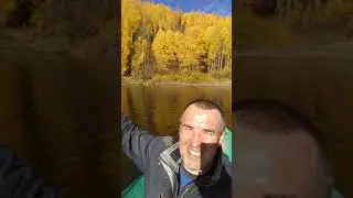 Осень. Листва разных цветов. Разные оттенки.