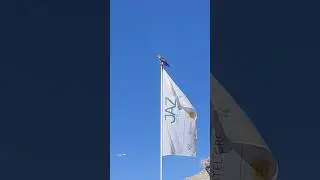 Птичка на позитиве! Пляж Эль Фанар.