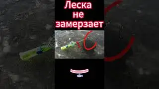 Леска не замёрзнет
