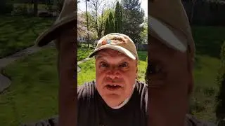 Your Comedy Minute Quickie 