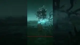 Красивый босс / Elden ring