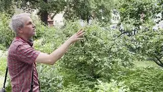 Nowy Tomyśl Adam Rybarczyk zaprasza do Bibliogrodu - Nowotomyskimagazyn.pl