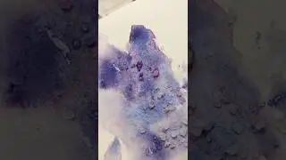 Amazing granulated watercolors! 