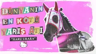 Dünyanın En Kötü Yarış Atı