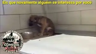 SUPERAÇÃO