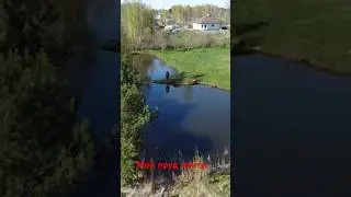 Пруд мечты на участке. Пруд на даче. 