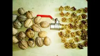 Новый метод колоть орехи с помощью шарового крана!