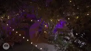 جانا العيد