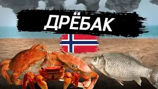 Обитатели Северного Моря! Поймали и Отпустили  #рыба #крабы #море #норвегия #drøbak  #рыбалка #ловля