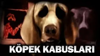 BU KÖPEK BENİM DEĞİL!