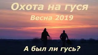 Geese Hunting 2019 spring