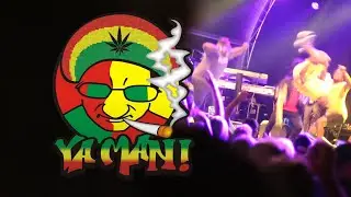 Aftermovie Reggaeweide - Zwarte Cross 2022